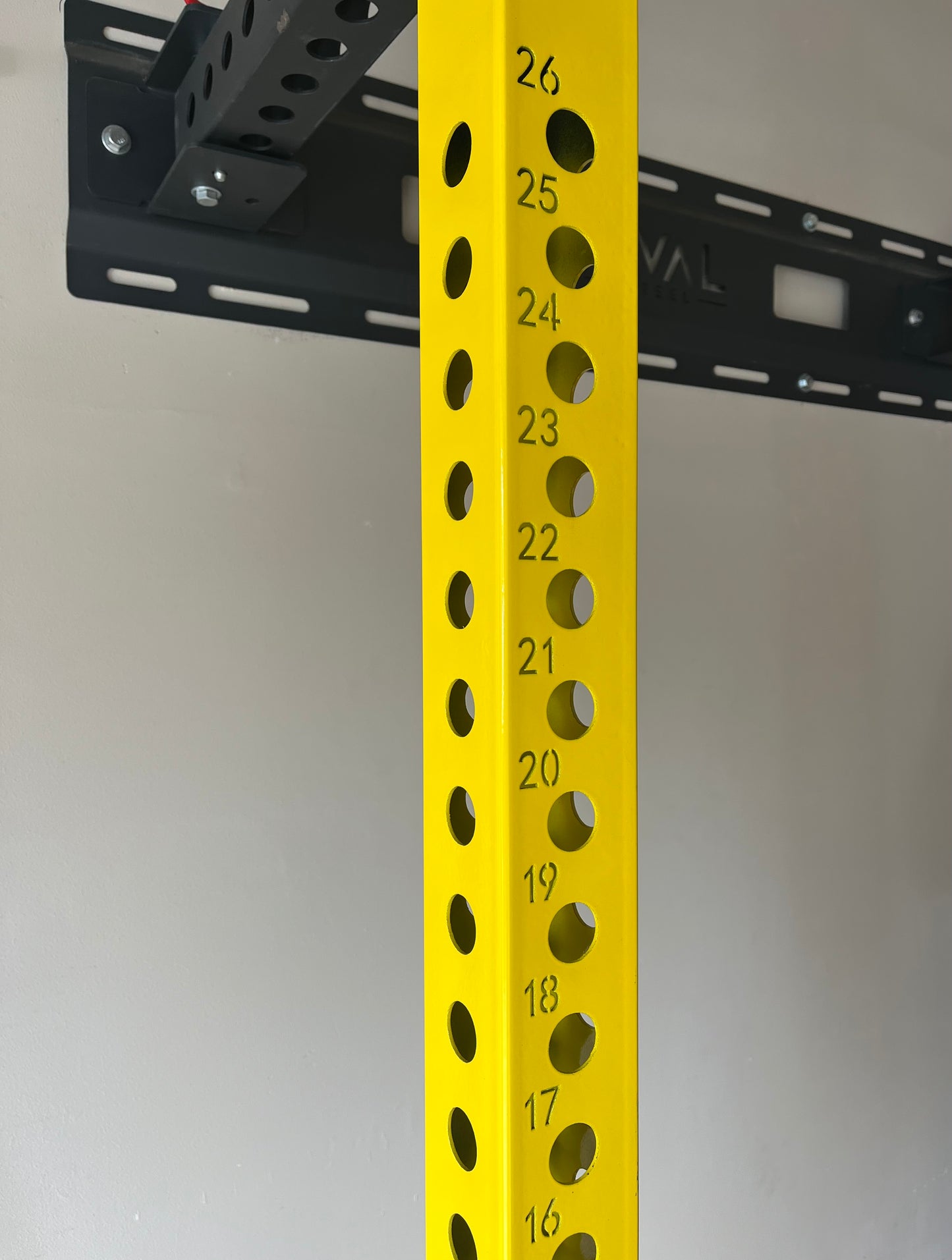 RIVAL STEEL Foldable Wall-Mounted Squat Rack